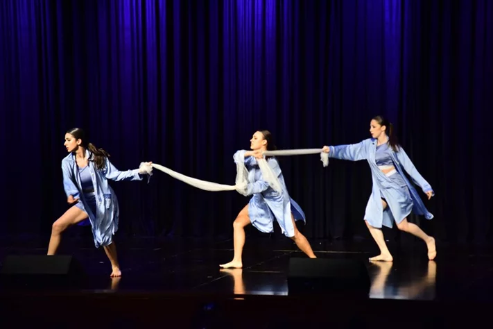 Liberation Dance Show by Zirka